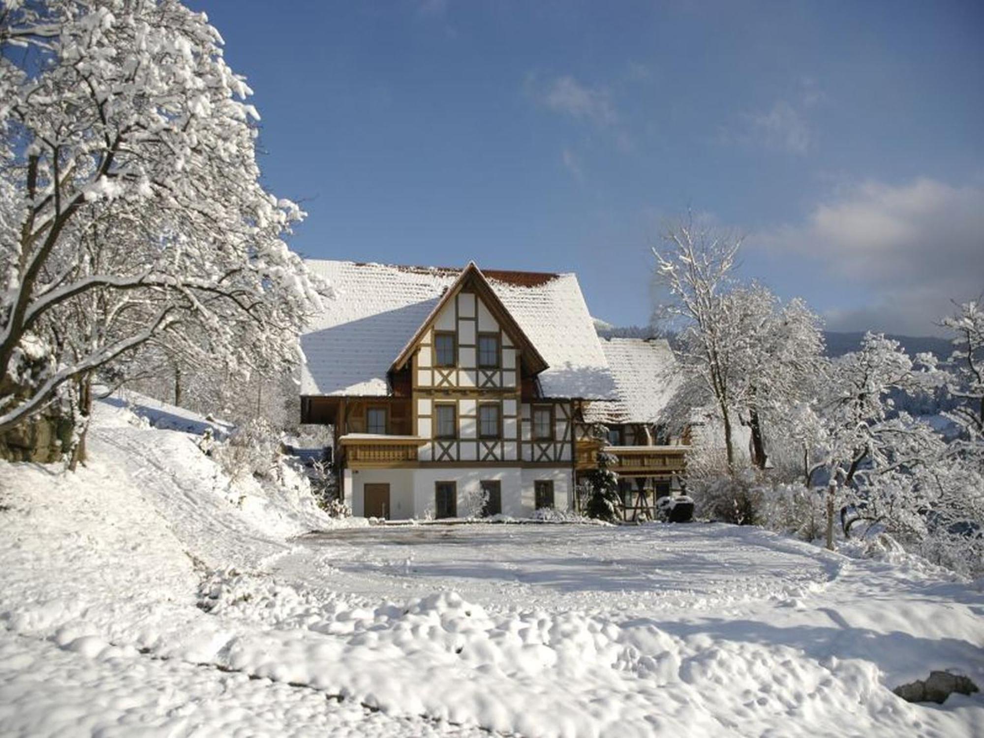 ホテル Baeuerlehof ゼーバハ エクステリア 写真