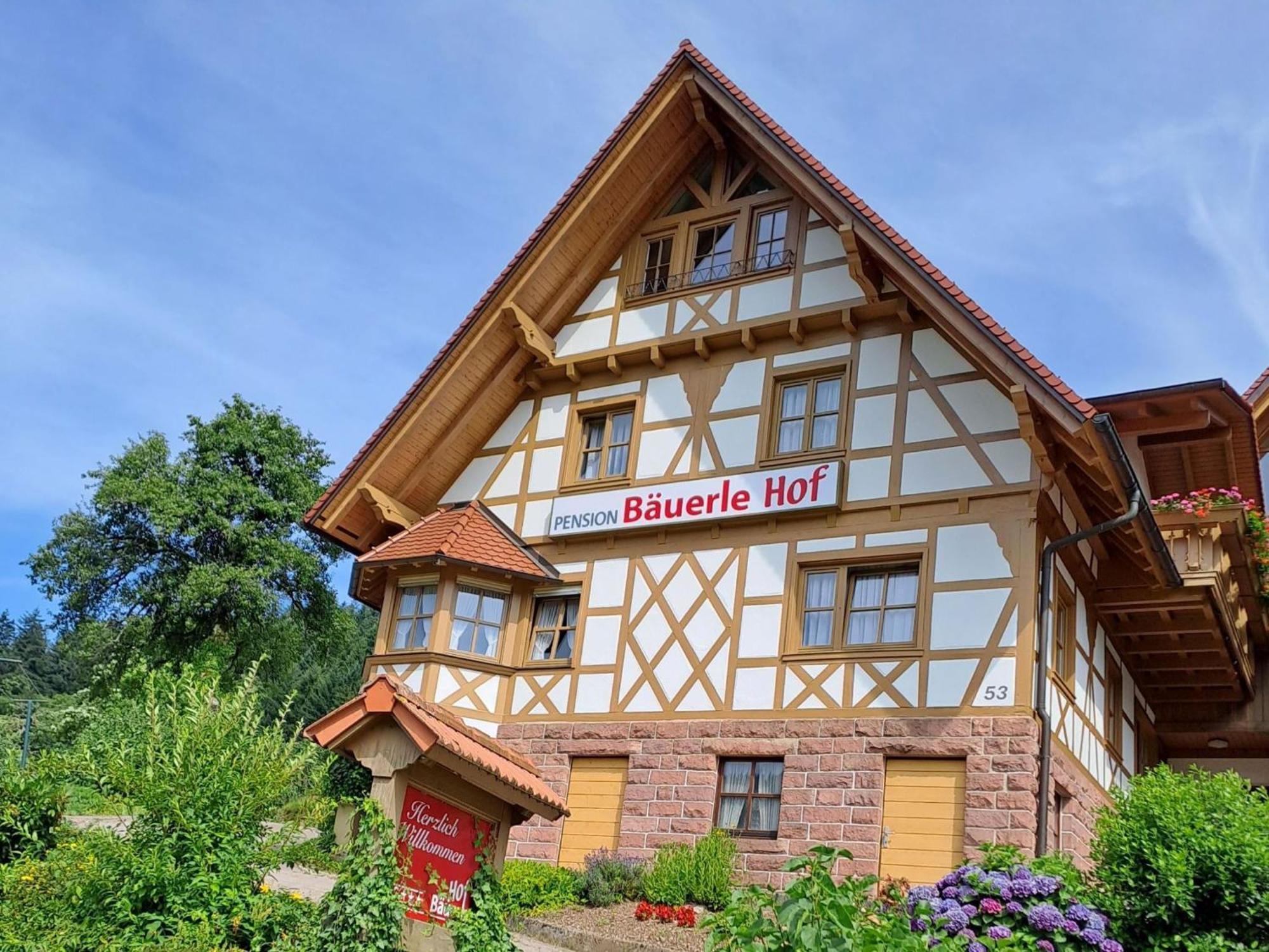 ホテル Baeuerlehof ゼーバハ エクステリア 写真
