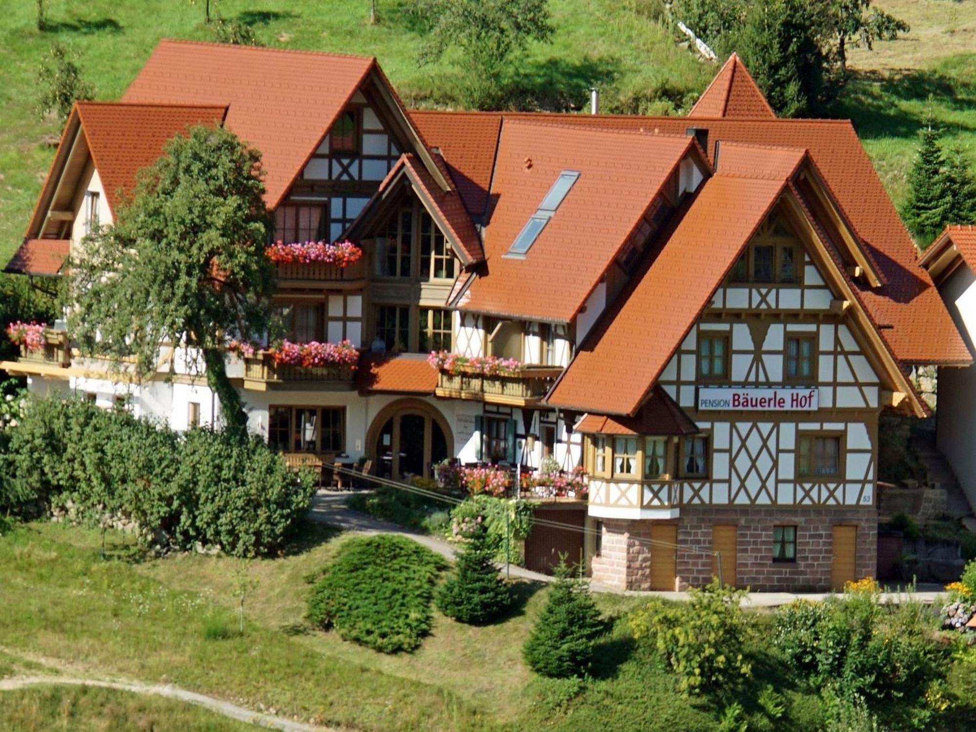 ホテル Baeuerlehof ゼーバハ エクステリア 写真